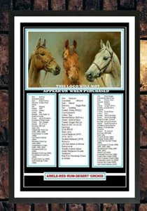 473) arkle red rum desert orchid size a4 photograph framed unframed reprint - Picture 1 of 6