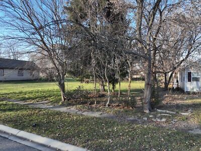NOW NO RESERVE On Port Huron Vacant Grassy Lot In St. Clair County, Michigan • 590$