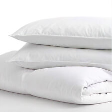 Linens Limited Anti-Allergy Hollowfibre Pillows