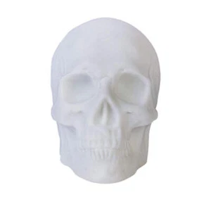 Attractive Skull Light Up Speaker Innovative Portable Amazing Sound Quality - Picture 1 of 3