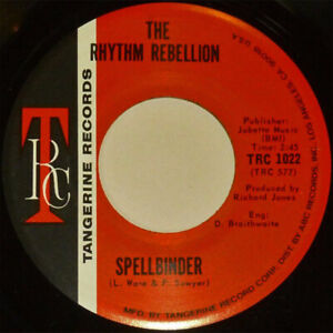 The Rhythm Rebellion* - Spellbinder / Racoon, 7", (Vinyl)