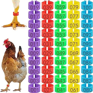 Cougzed 100 Pcs Chicken Leg Bands - 16Mm Colorful Numbered Chicken Tags for Legs - Picture 1 of 12
