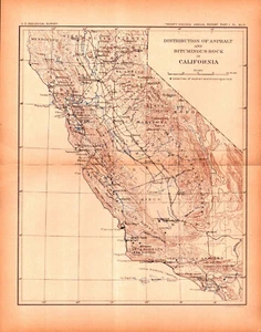 CALIFORNIA GEOLOGY Antique authentic Land Classification map 1901 - Picture 1 of 1