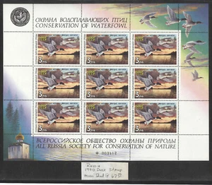 Rusia 1990, conservación de aves acuáticas, pato, hoja completa montada muy rara Sh636 - Imagen 1 de 1