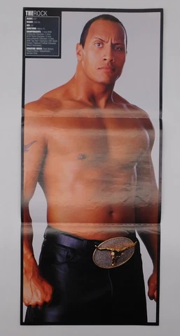The Rock Brock Lesnar WWE Magazine Wrestling Poster 10x24 New WWF Wrestler Cover