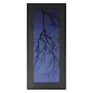 Susan Derges (b. 1955) River-Taw Willow Ilfochrome Print. Edition Of 100. - Picture 1 of 14