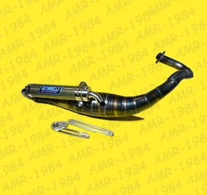 Silenciador giannelli Inversa kevlar Piaggio NRG - Giera Stalker 50 31610E - Imagen 1 de 1