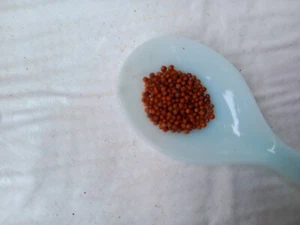Kurakkan Flour Pure Organic Quality Ragi/Finger Millet Powder Sri Lankan 100g - Picture 1 of 5
