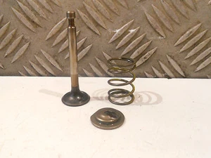 Moteur Honda GXV 140 GXV140 - Soupape d'admission complète - Imagen 1 de 2