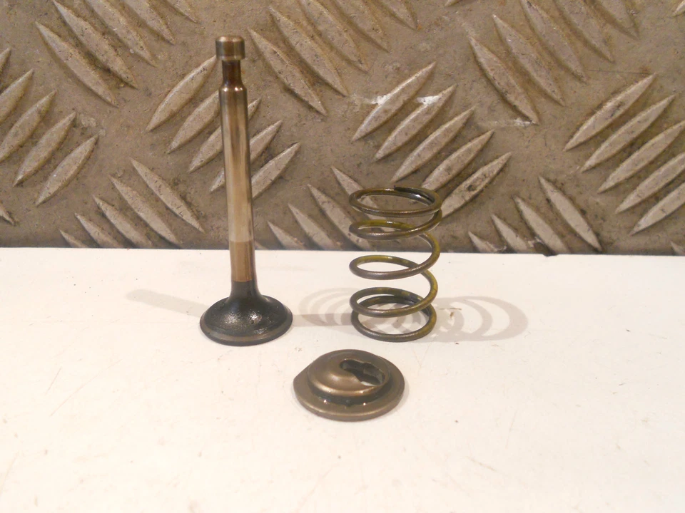 Moteur Honda GXV 140 GXV140 - Soupape d'admission complète - Photo 1/2