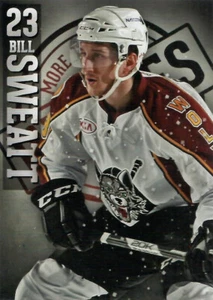 2012-13 Chicago Wolves - BILL SWEATT - Picture 1 of 2