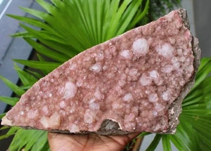 Cristales de apofilita en muestra mineral natural de matriz de coral rosa claro - Imagen 1 de 10
