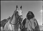 Jordan Man In Arab Headdress Posing With Horse Jordan - Old Photo
