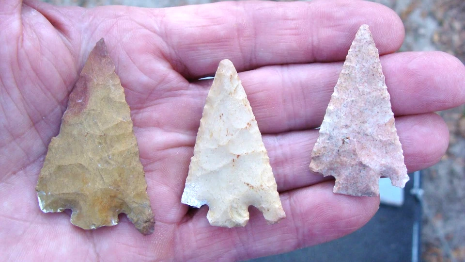 3 耳鸣 HERNANDO 佐治亚州佛罗里达深南箭头 ~124 ~ — 第 1/1 张图片