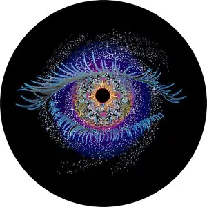 Cosmic Eye Celestial Spare Tire Cover All Sizes Available-back up camera option - Picture 1 of 5