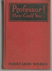 Professor How Could You Harry Leon Wilson 1924 Vintage Humorous Novel - Picture 1 of 1