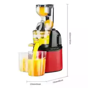 Cold Press Juicer Masticating Juicer Fruit and Vegetable Juicer - Picture 1 of 9