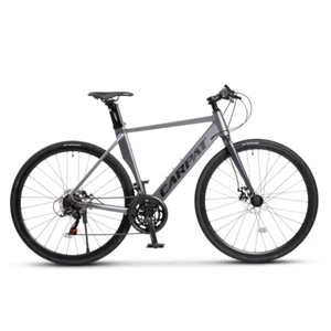 Rennrad City-Bike Outdoor-Bike Doppelte Scheibenbremsen Integriert Abnehmbar - Bild 1 von 7
