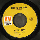 SISTERS LOVE: now is the time A&M 7" Single 45 RPM