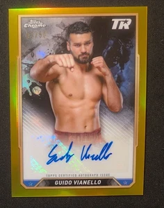 2024 Topps Chrome Boxing Guido Vianello Oro Rifrattore Auto /50 #CBA-GVO - Foto 1 di 15