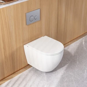 1-Piece 1.1/1.6 GPF Dual Flush Elongated Wall Hung Toilet with Soft Close Seat - Picture 1 of 11