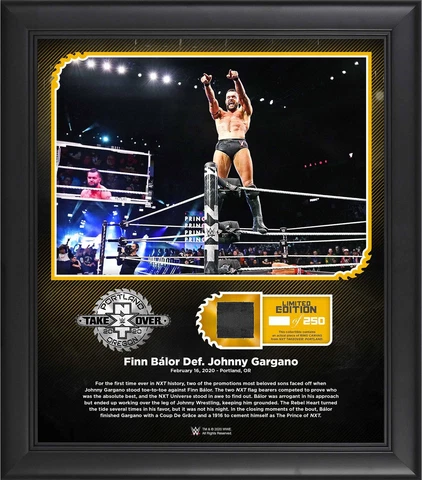 Finn Blor World Wrestling Entertainment Framed 15" x 17" NXT Cover