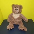 GUND Plush Teddy Bear Slumbers 320709 Toy Lovey Brown Stuff Bean Bag Grizzly 17"