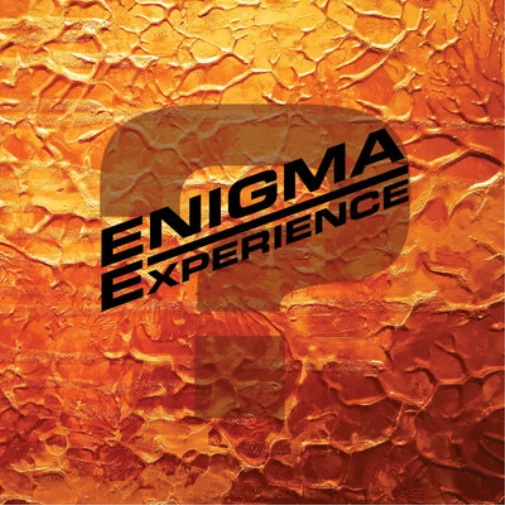 Enigma Experience ? (Vinyl) 12" Album - Photo 1/1