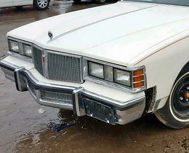 Pontiac Bonneville, Catalina: solo 1981, parrilla delantera cromada, fabricante de equipos originales Foto 1 de 4