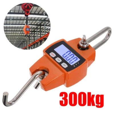 Mini Crane Scale Weight 300kg Heavy Duty Hanging Hook Scales Portable Scale