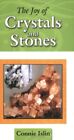 Joy Of Crystals And Stones (Joy Of...(Astrolog)) By Connie Islin