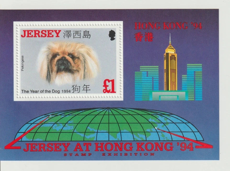 JERSEY**/333 - Image 1 of 1