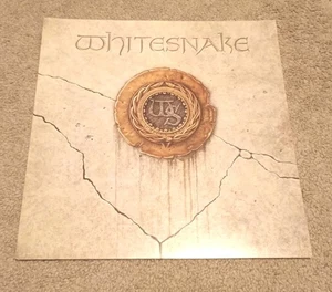 Póster promocional plano 12x12 de Whitesnake Record Co. en excelente estado - Imagen 1 de 2