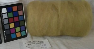 Romney wool roving varigated muted yellow spinning felting fiber arts - Picture 1 of 4