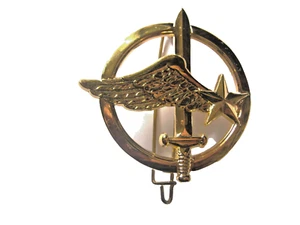 INSIGNE DE BERET DES COMMANDOS DE L'AIR (DRAGO MARNE LA VALLEE) - Bild 1 von 4