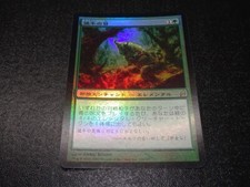 Eyes of the Wisent FOIL Japanese x1 Lorwyn mtg SP