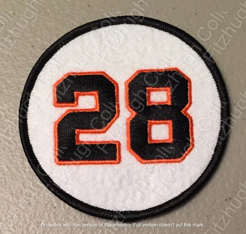 BUSTER POSEY SAN FRANCISCO GIANTS 2021 JERSEY NUMBER 28 PATCH Cover