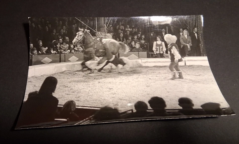 1975 DDR presse foto12x18 ZIRKUS BUSCH Reitertruppe KERSTEN circus cirque photo - Bild 1 von 1
