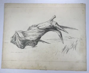 James Merrick Vtg Drawing Surreal Driftwood Log Floating In Desert 11x14” Art - Picture 1 of 10