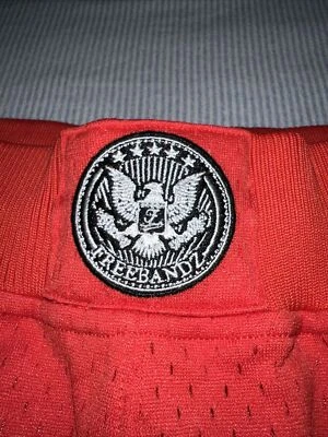 Mitchell & Ness Atlanta tHawks FREEBANDZ FUTURE REMIX Bleacher REPORT SHORTS Foto 1 de 4