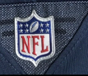 PARCHE PLÁSTICO OFICIAL DE VAPOR INTOCABLE ESCUDO PLATEADO NFL - Imagen 1 de 1