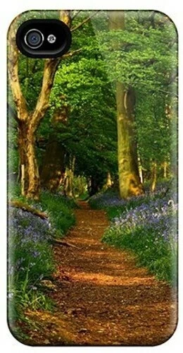 12 99 Dvd Assorted (DVD)