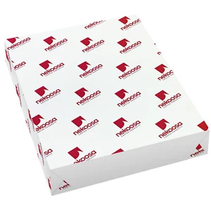 Nekoosa Glossy Cardstock, 80lb Cover (216gsm), 8.5 x 11, 250 Sheets - Picture 1 of 1
