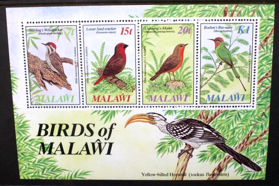 MALAWI 1985 John J Audubon Birth Bicentenary: Birds. SOUVENIR SHEET. MNH SGMS737 - Image 1 of 1