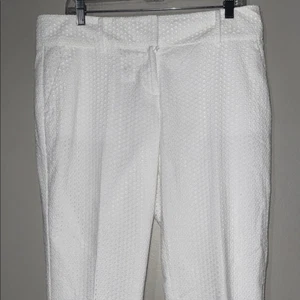 Ann Taylor Size 10 White Eyelet Pants Crop High Rise Pockets NWT - Bild 1 von 11