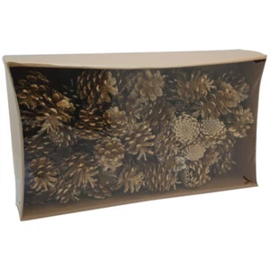 Gold Pine Cones (Austriaca Cones) 1KG Bag Floral Christmas oasis sku DF4006 - Picture 1 of 1
