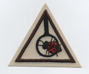 Brownie Girl Scouts,  Eco-Explorer, Try-Its Patch, (2000), Mint - Picture 1 of 1