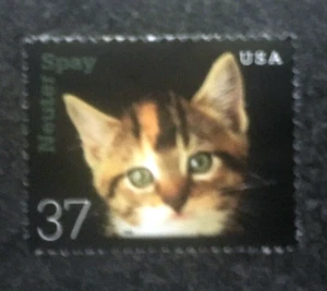 2002USA 37c #3670 Neuter or Spray Kitten - Single Stamp mint - Picture 1 of 1