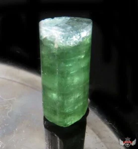 18.085CT. 31MM. GREEN TOURMALINE - Picture 1 of 2