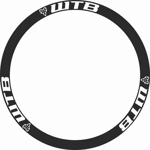 Adesivi Ruote WTB  - Imagen 1 de 1